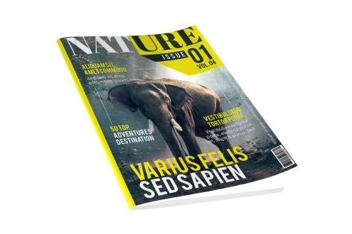 magazine layout design